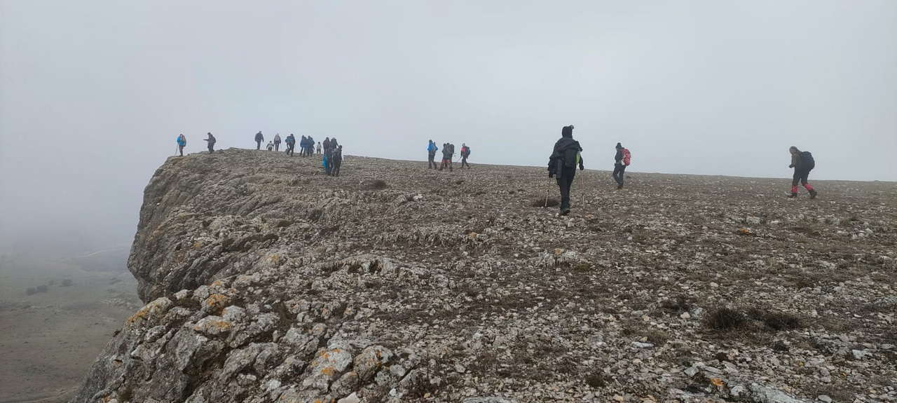 WhatsApp Image 2026-02-10 at 14.47.45 (4)